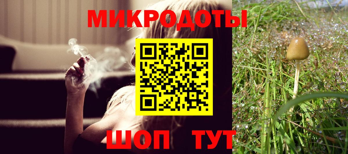 купить наркотики цена  Вход с VPN  Тельмана  Псилоцибиновые грибы Psilocybine cubensis 