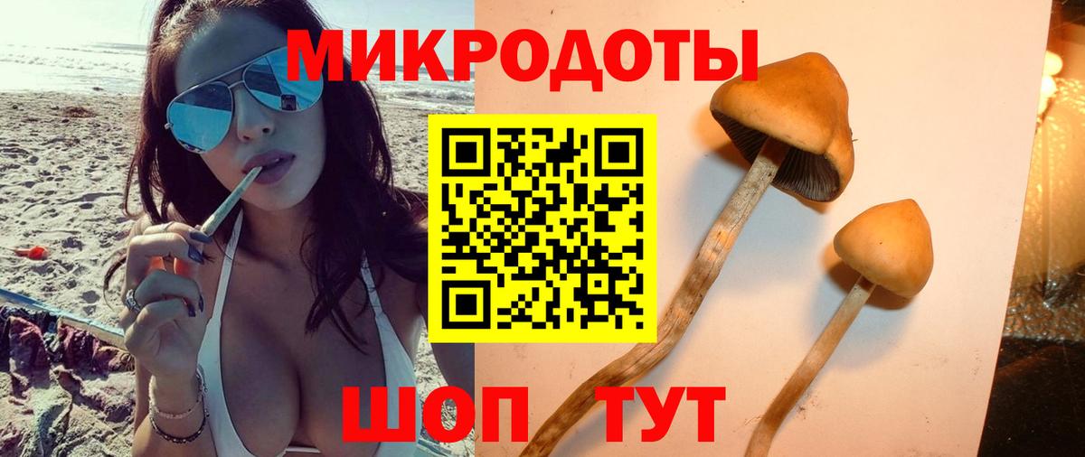 Псилоцибиновые грибы ЛСД Тельмана